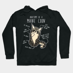 Maine Coon Cat Anatomy Hoodie